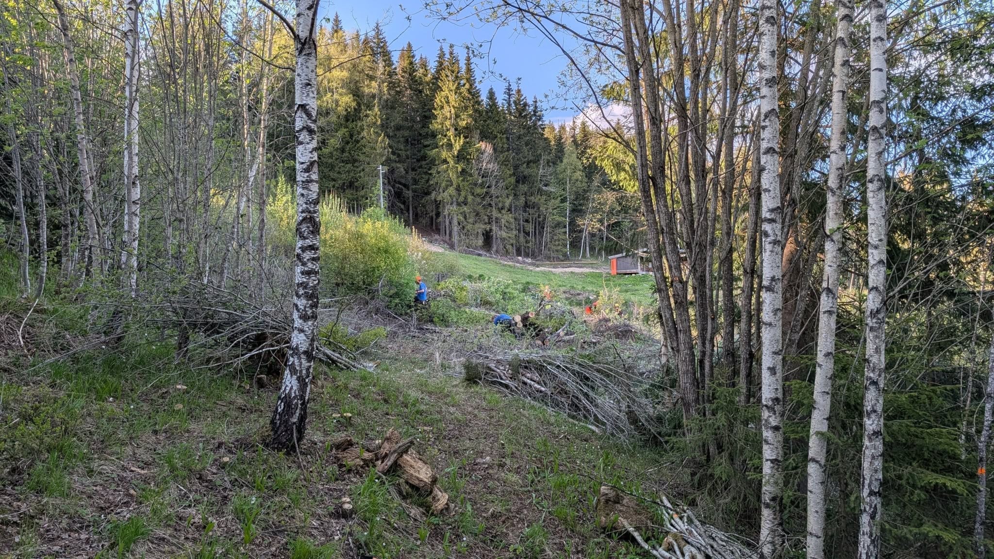 Diskgolfbanen er godkjent